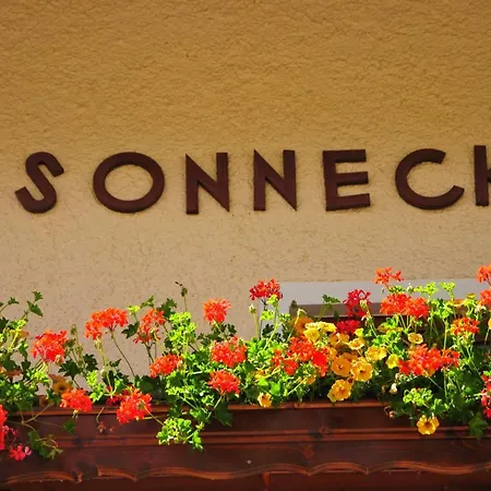 Chalet Sonneck