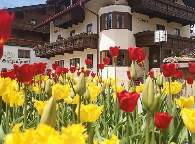 Gasthof Sonneck Seefeld in Tirol
